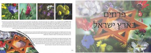אין דיזיין - פרחים בארץ ישראל 