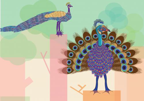 איור דיגיטלי - שני טווסים