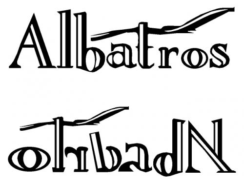 לוגו אלבטרוס 
